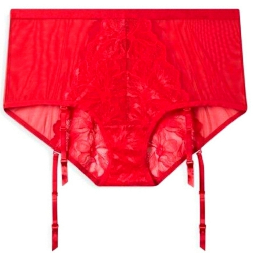 Torrid Brief Shimmer Panty Red Removable Garter  NWT Boudoir